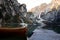 Dog in a boat on a lake. Jack Russell Terrier in nature. Traveling with a pet to Italy, Lago di Braies