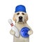 Dog with bowling pin and blue ball