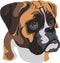 Dog, Boxer, muzzle of a dog, breed of dogs, vector image