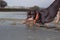 Dog breed Australian Kelpie sad looks at the river in the fall in the rain