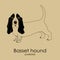 Dog breed Basset hound on a beige background 2