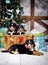 Dog breed Bernese Mountain puppy, Christmas and New Year