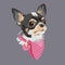 Dog breed Chihuahua. Funny cartoon character. Animal domestic.