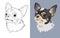 Dog breed Chihuahua. Pet head flat and linear. Vector.