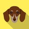 Dog, breed dachshund.Muzzle of the dachshund single icon in flat style vector symbol stock illustration web.