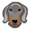 Dog breed Dachshund muzzle head drawn by squares, pixels. Silhouette of a dog breed dachshund