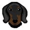 Dog breed Dachshund muzzle head drawn by squares, pixels. Silhouette of a dog breed dachshund