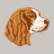 Dog breed English Cocker Spaniel silhouette face muzzle, painted in squares, pixels. Silhouette breed Cocker Spaniel