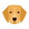 A dog breed, a golden retriever.Muzzle of the Golden Retriever single icon in cartoon style vector symbol stock