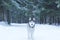 A dog breed Husky stands on the snow in the woods in winter and looks into the camera