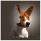 Dog breed Jack Russell Terrier polygonal vector