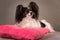 Dog breed papillon on a pink pillow