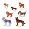 Dog breed silhouette