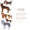 Dog breed silhouette colorful illustration set