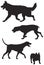 Dog breed silhouettes 7