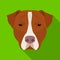 Dog breed, Stafford.Muzzle of Stafford single icon in flat style vector symbol stock illustration web.