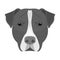 Dog breed, Stafford.Muzzle of Stafford single icon in monochrome style vector symbol stock illustration web.