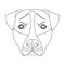 Dog breed, Stafford.Muzzle of Stafford single icon in outline style vector symbol stock illustration web.