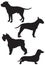 Dog breed vector Silhouettes
