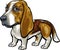 Dog Breeds: Basset Hound