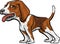 Dog Breeds: Beagle Hound