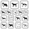 Dog breeds black icons in set collection for design.Dog pet vector symbol stock web illustration.