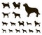 Dog breeds black icons in set collection for design.Dog pet vector symbol stock web illustration.