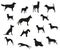 Dog breeds black silhouettes