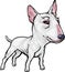 Dog Breeds: Bull Terrier