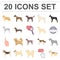 Dog breeds cartoon icons in set collection for design.Dog pet vector symbol stock web illustration.