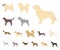 Dog breeds cartoon icons in set collection for design.Dog pet vector symbol stock web illustration.