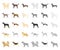 Dog breeds cartoon,mono icons in set collection for design.Dog pet vector symbol stock web illustration.