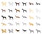 Dog breeds cartoon,monochrom icons in set collection for design.Dog pet vector symbol stock web illustration.