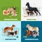 Dog Breeds Design Concept