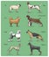 Dog breeds engraved, hand drawn vector illustration in woodcut scratchboard style, vintage drawing species.