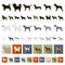 Dog breeds flat icons in set collection for design.Dog pet vector symbol stock web illustration.