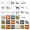 Dog breeds flat icons in set collection for design.Dog pet vector symbol stock web illustration.