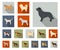 Dog breeds flat icons in set collection for design.Dog pet vector symbol stock web illustration.