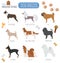 Dog breeds. Miniature toy dog set icon. Flat style