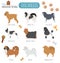 Dog breeds. Miniature toy dog set icon. Flat style