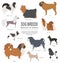 Dog breeds. Miniature toy dog set icon. Flat style