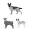 Dog breeds monochrome icons in set collection for design.Dog pet vector symbol stock web illustration.