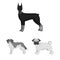 Dog breeds monochrome icons in set collection for design.Dog pet vector symbol stock web illustration.