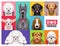 Dog Breeds Multi-colored Flat Icons