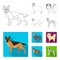 Dog breeds outline,flat icons in set collection for design.Dog pet vector symbol stock web illustration.