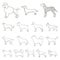 Dog breeds outline icons in set collection for design.Dog pet vector symbol stock web illustration.