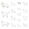 Dog breeds outline icons in set collection for design.Dog pet vector symbol stock web illustration.