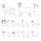 Dog breeds outline icons in set collection for design.Dog pet vector symbol stock web illustration.
