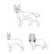 Dog breeds outline icons in set collection for design.Dog pet vector symbol stock web illustration.