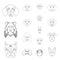 Dog breeds outline icons in set collection for design.Muzzle of a dog vector symbol stock web illustration.